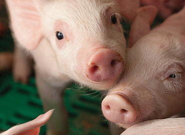 Porcelet ARC_Porcelet_PS.jpg